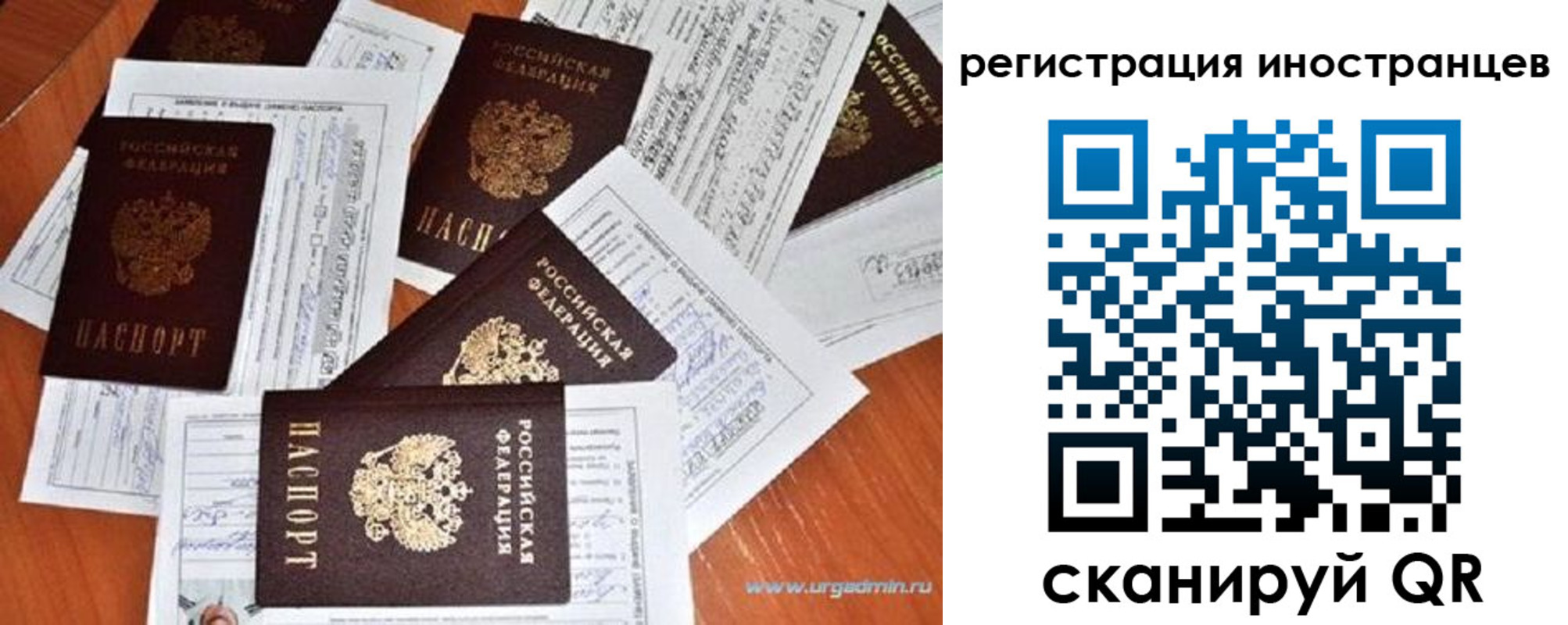 временная регистрация гарантия в Боброве